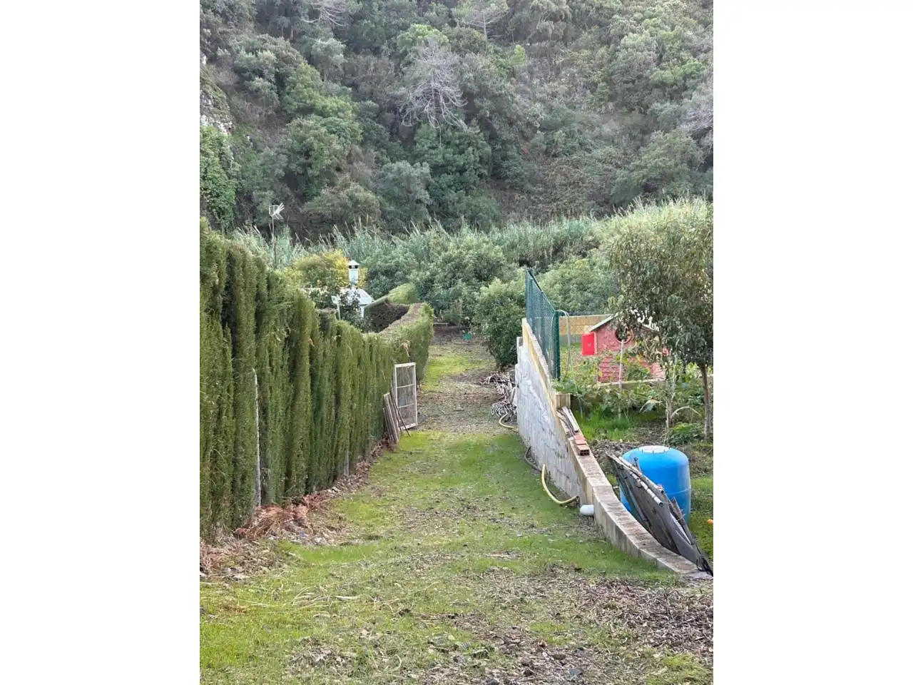 Jardí de Finca rústica en venda en Estepona amb Aire condicionat, Calefacció i Jardí privat