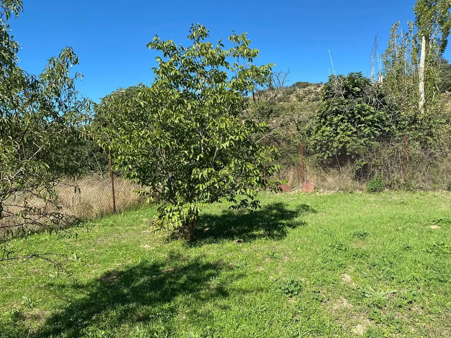 Terreno en venta en Escopete