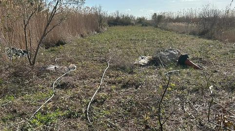 Photo 4 of Land for sale in Sa Pobla, Illes Balears