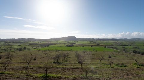 PRECIOSA FINCA CON VISTAS PANORÁMICAS A LAS AFUERAS DE SINEU, imatge 5