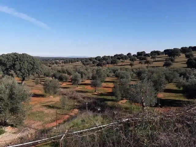 Terreny residencial en venda a Villanueva del Duque