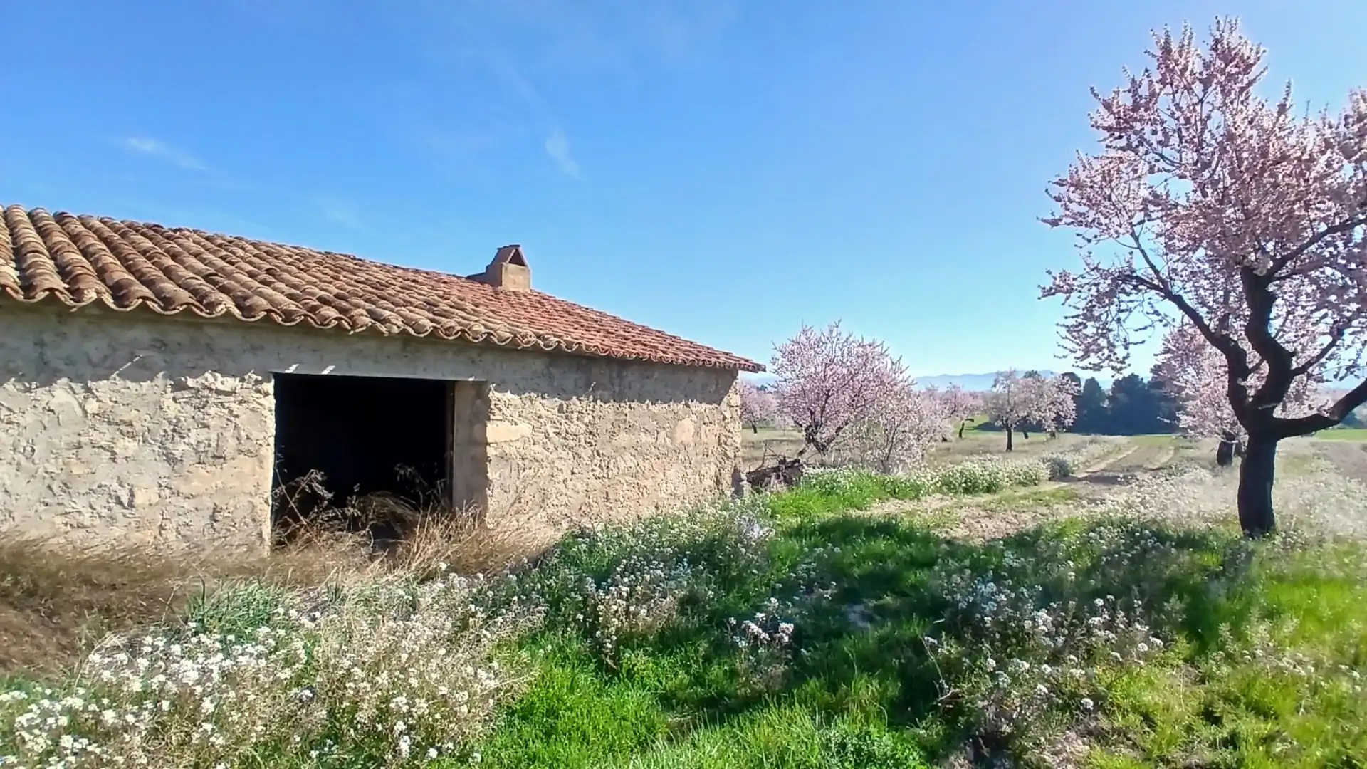 Terreni e lotti in vendita a Valderrobres, imagen 17