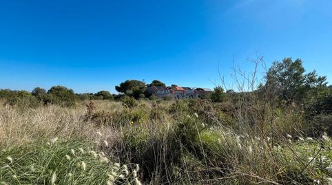 Photo 4 of Industrial land for sale in Plaça Poligono 18, 8, Las Atalayas - Urmi - Cerro de Mar, Castellón