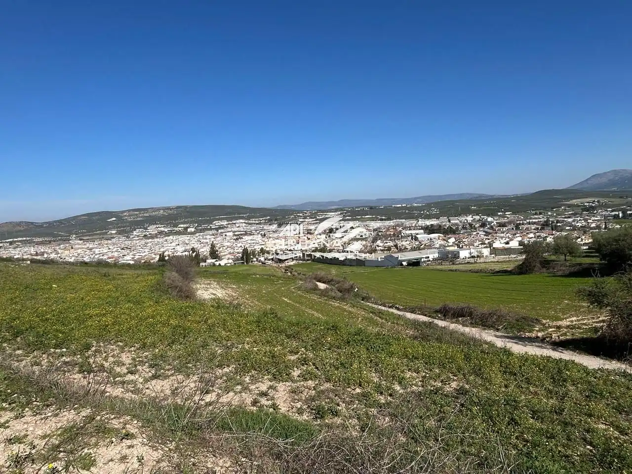 Vista exterior de Residencial en venda en Lucena