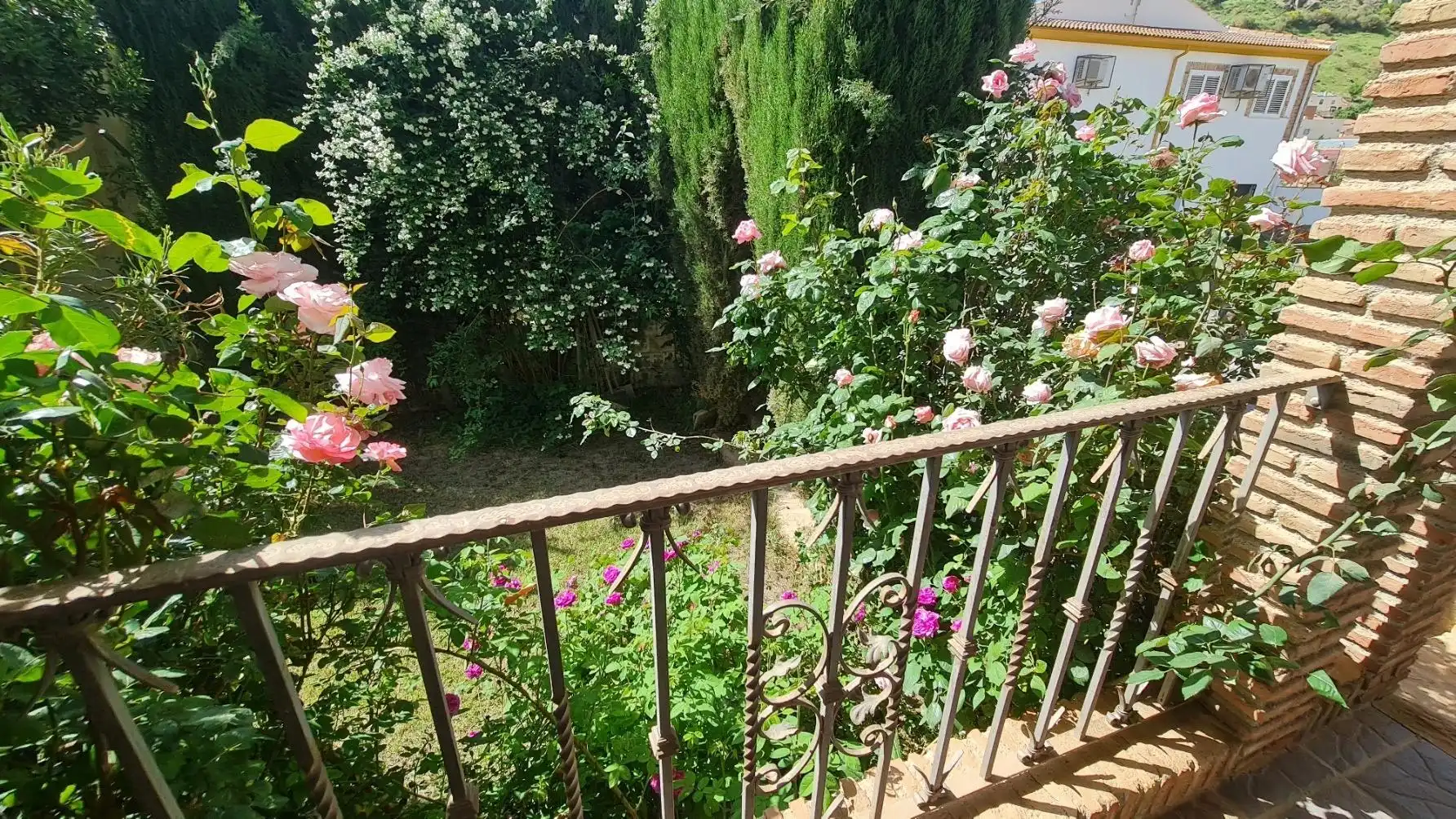 Jardí de Casa o xalet en venda en La Peza amb Calefacció, Jardí privat i Terrassa