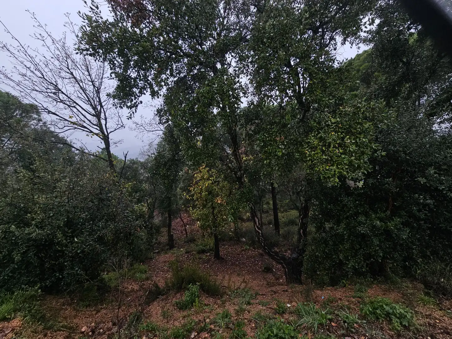 Terreno residenziale in vendita a Argimont 100, imagen 8