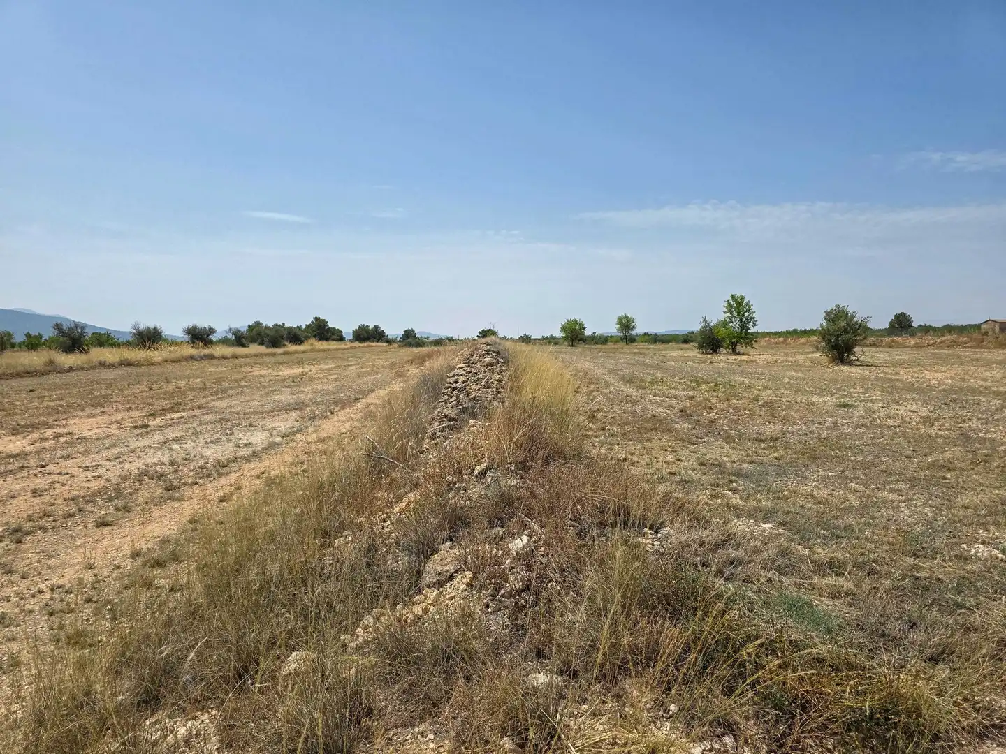 Terreny residencial en venda a El Pinós / Pinoso, imagen 2