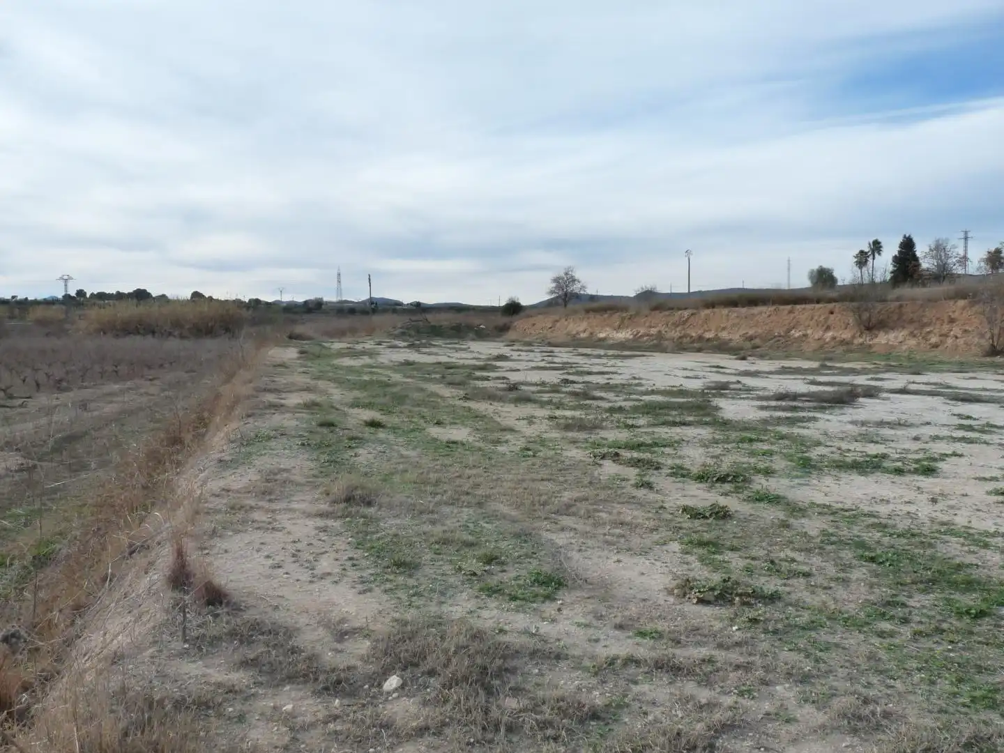 Land for sale in Benissuera