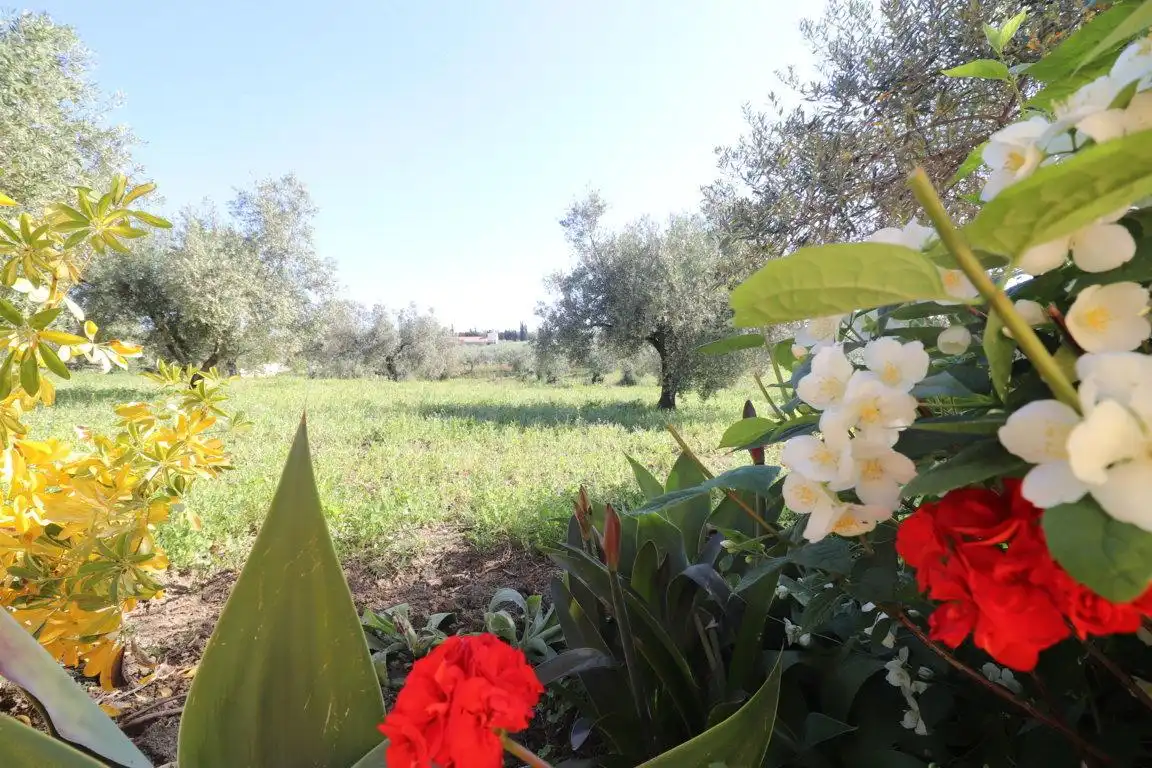 Garden of Houses for rent in Coín  with Private garden, Terrace and Swimming Pool