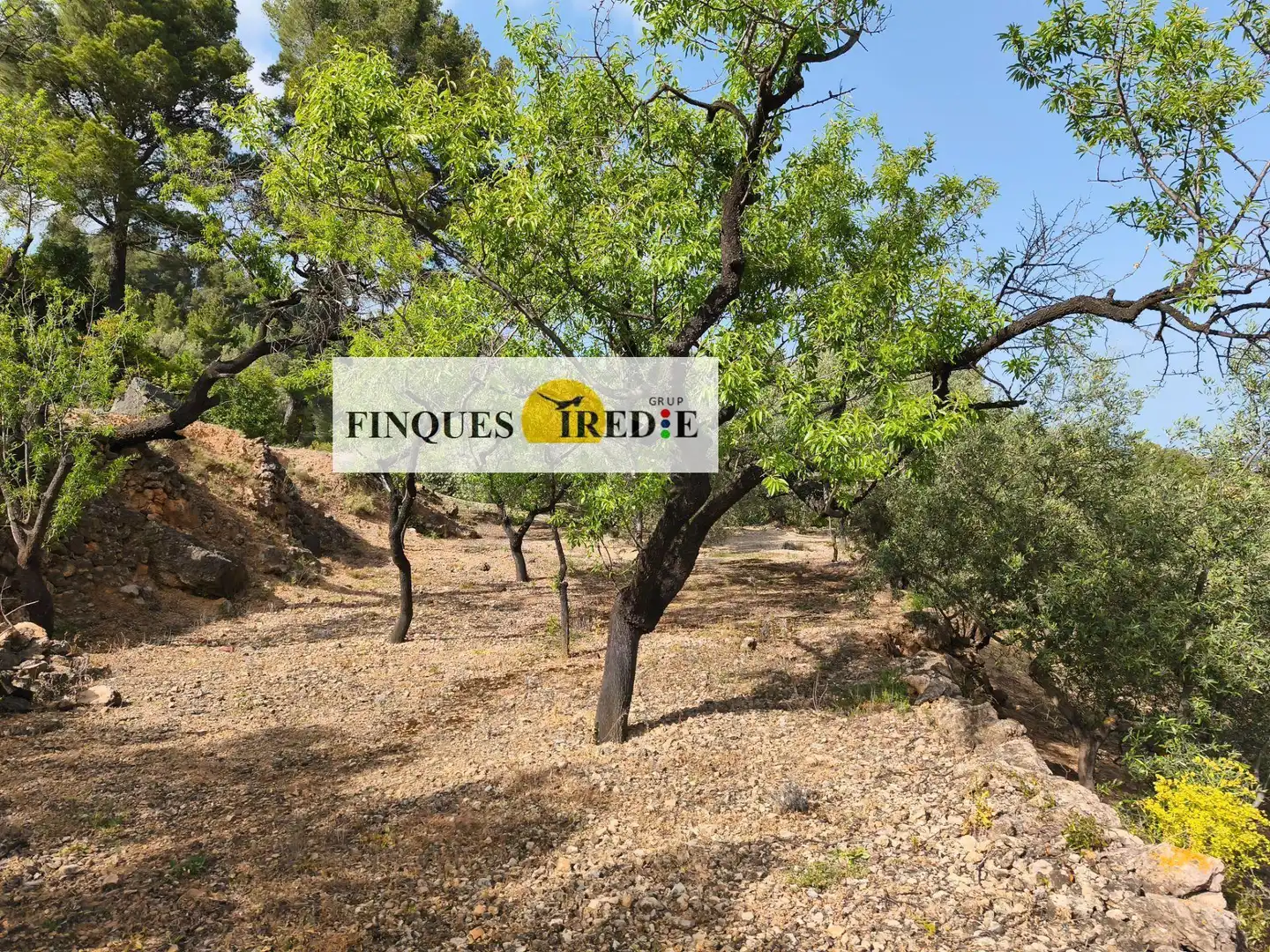 Casa en venta en Alfara de Carles, imagen 17