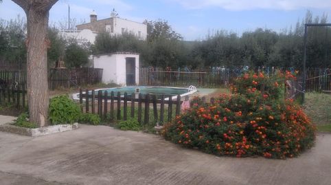 Photo 3 of Country homes for sale in Villamartín, Cádiz