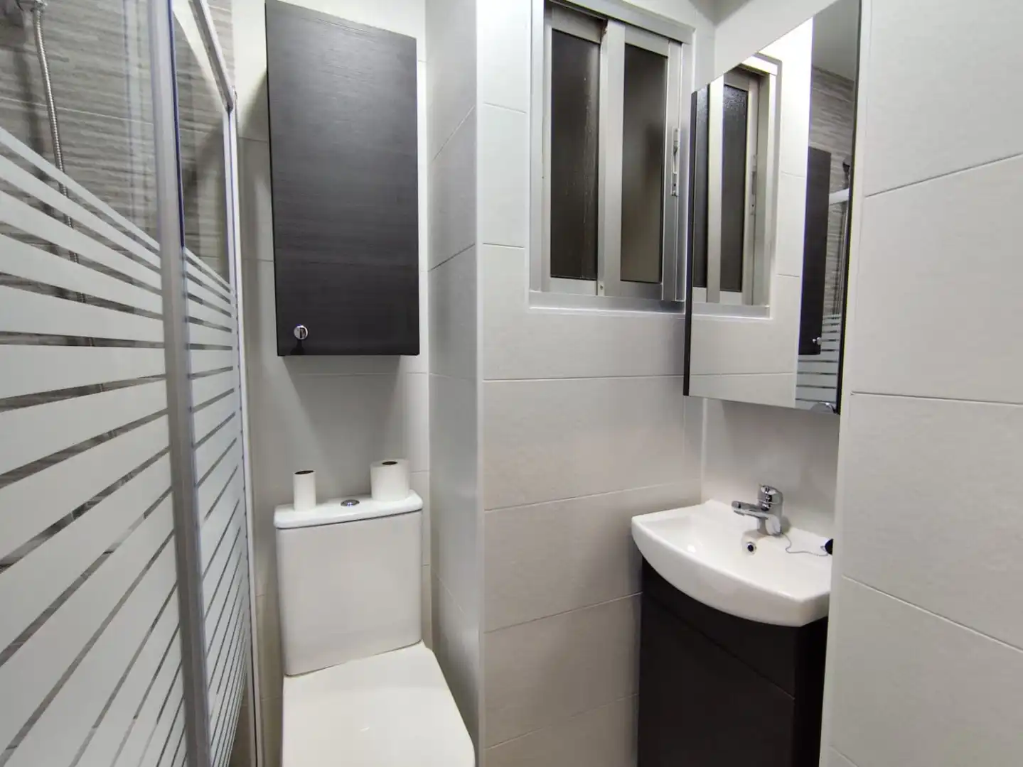 Baño de Piso de alquiler en Plasencia con Amueblado