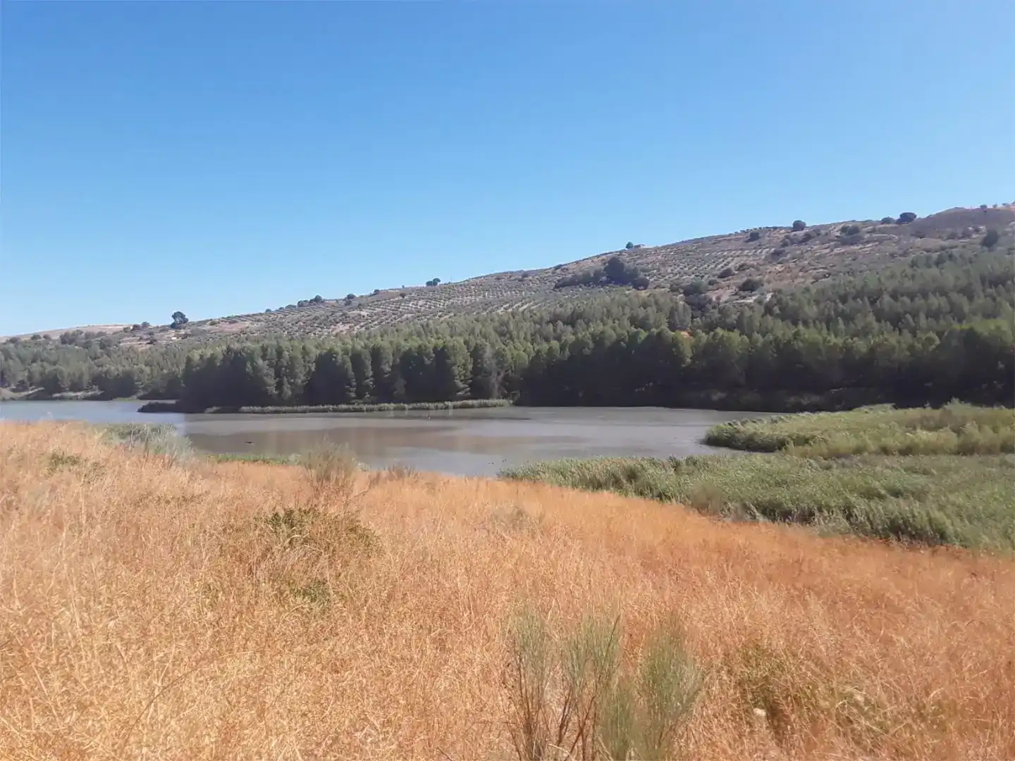Planta baixa en venda en Cacín amb Aire condicionat i Moblat