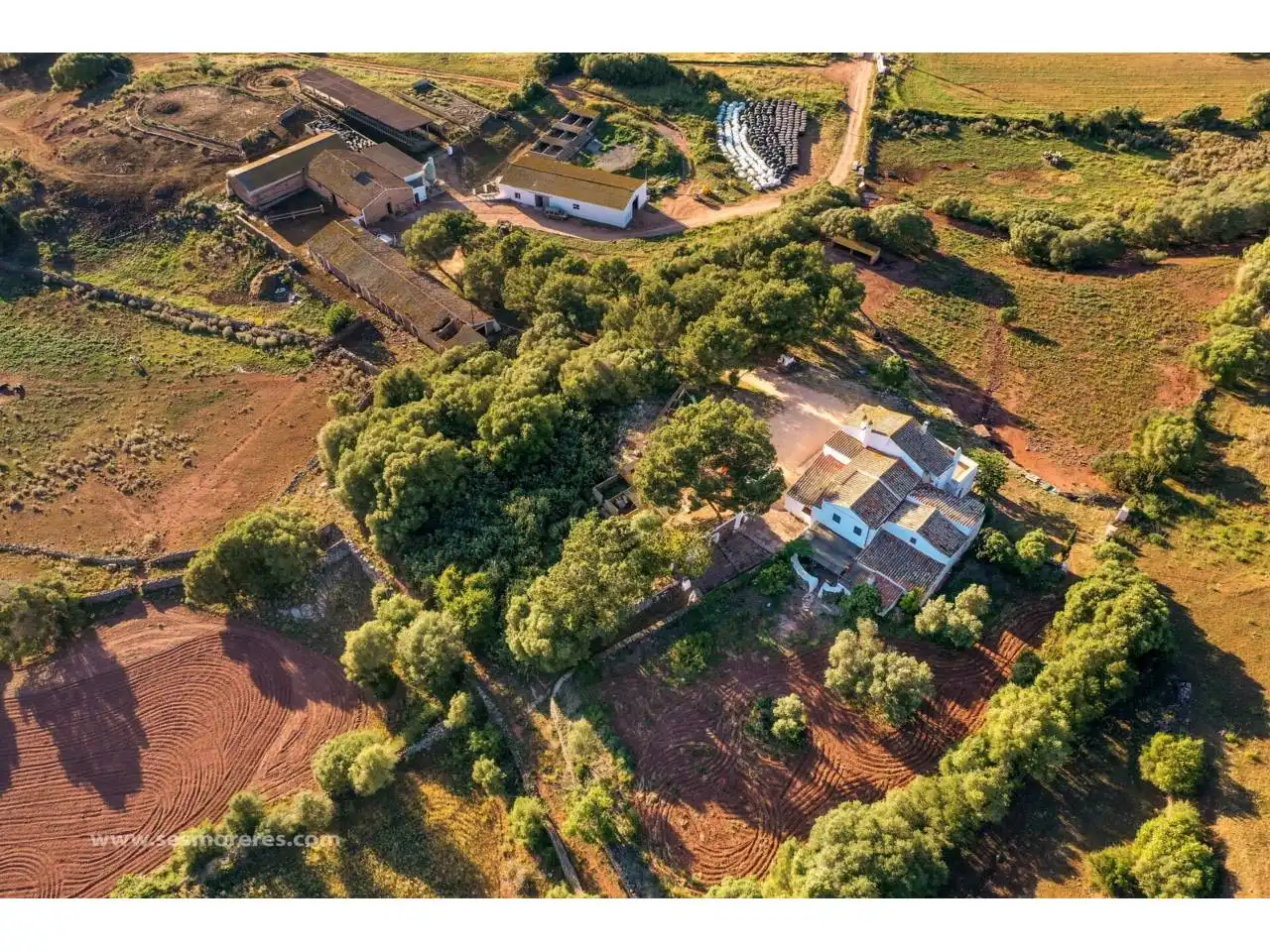 Rural land for sale in Ciutadella, imagen 27