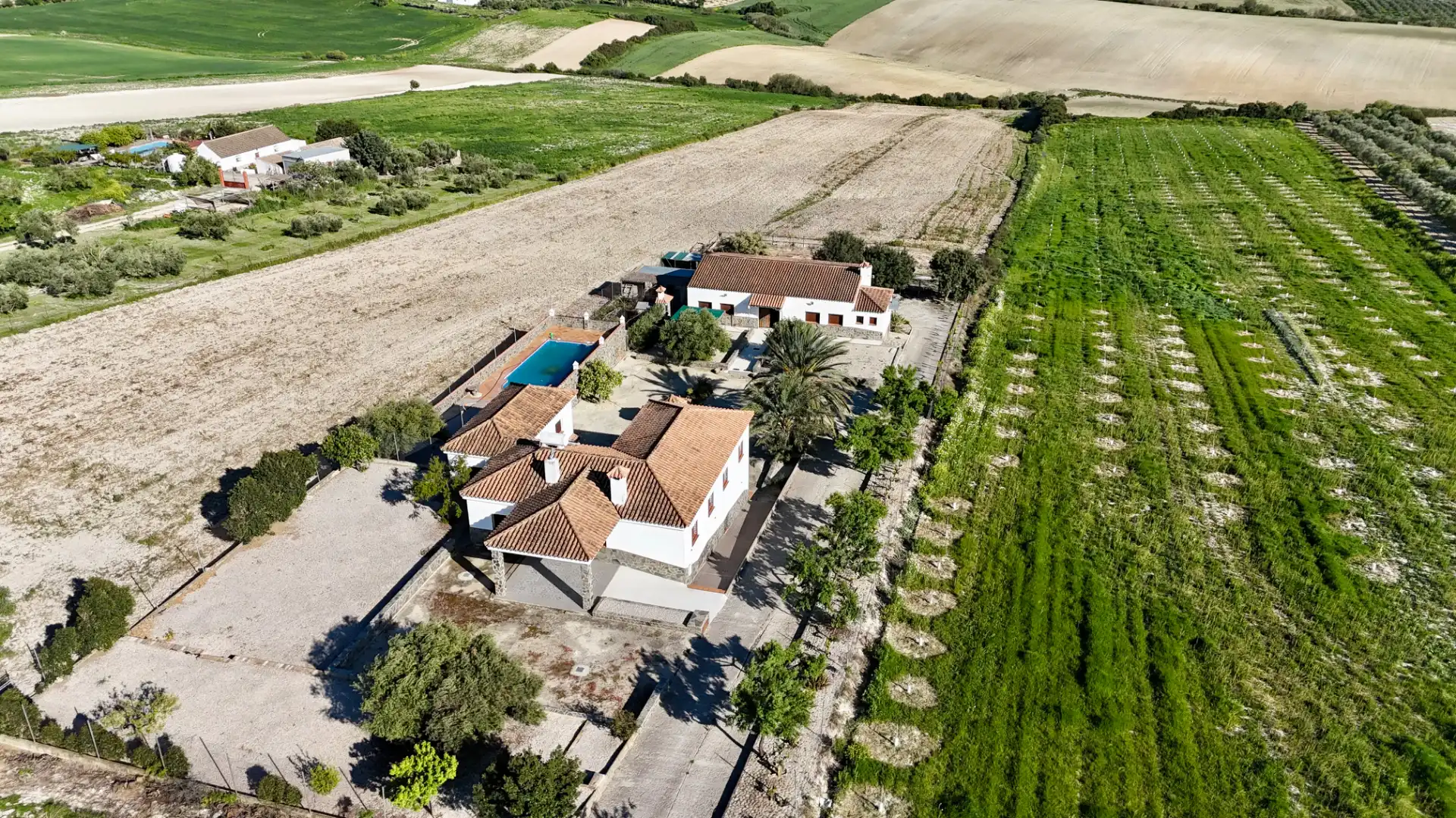 Vista exterior de Finca rústica en venta en Arcos de la Frontera con Aire acondicionado, Calefacción y Jardín privado