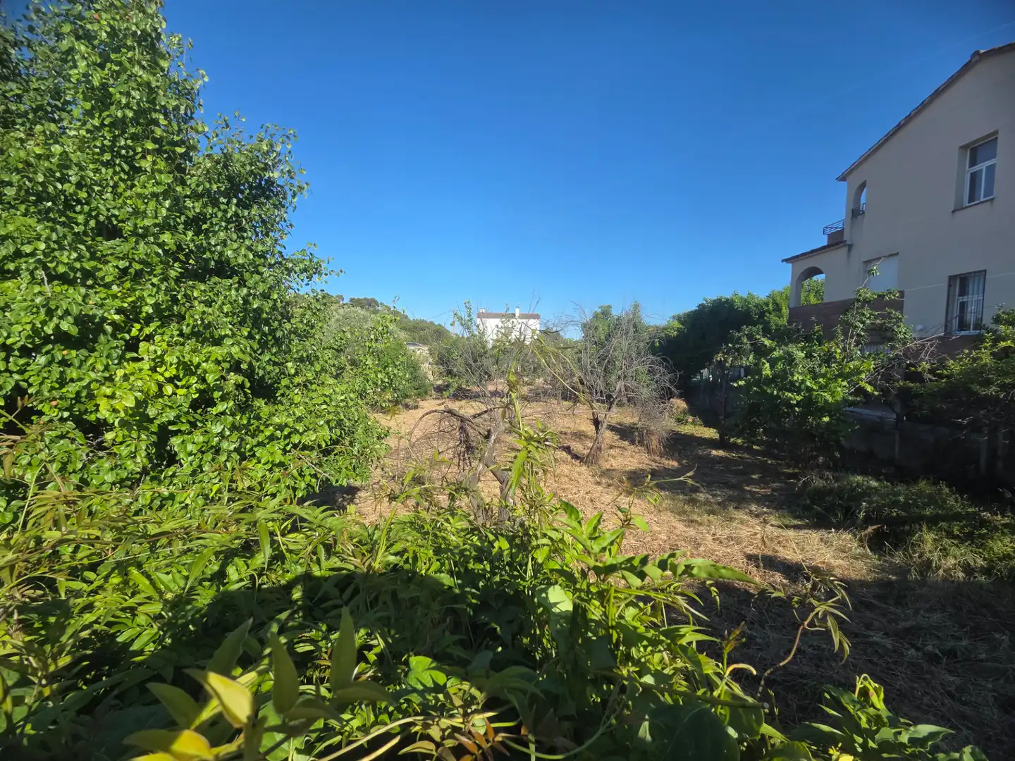Residential land for sale in Masquefa, imagen 3