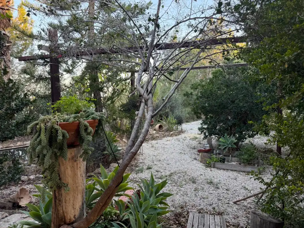 Jardín de Finca rústica en venta en Molina de Segura con Aire acondicionado, Calefacción y Jardín privado