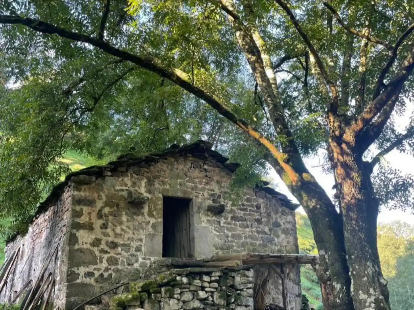 Vista exterior de Finca rústica en venda en Selaya