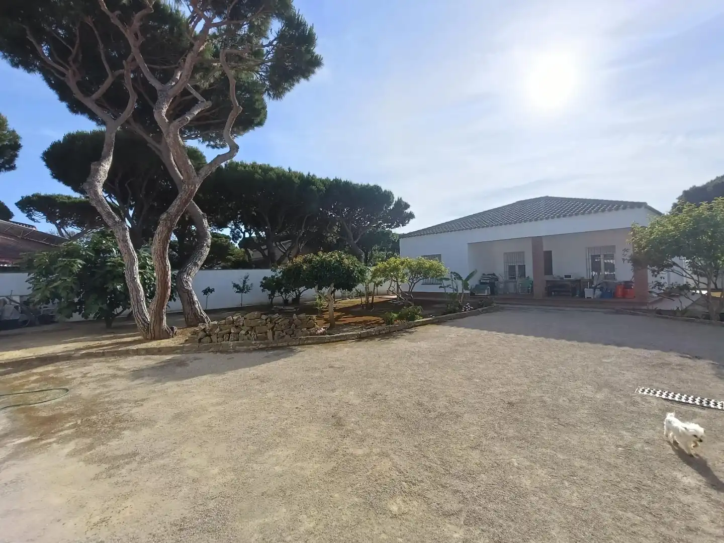 Jardí de Casa o xalet en venda en Chiclana de la Frontera amb Jardí privat