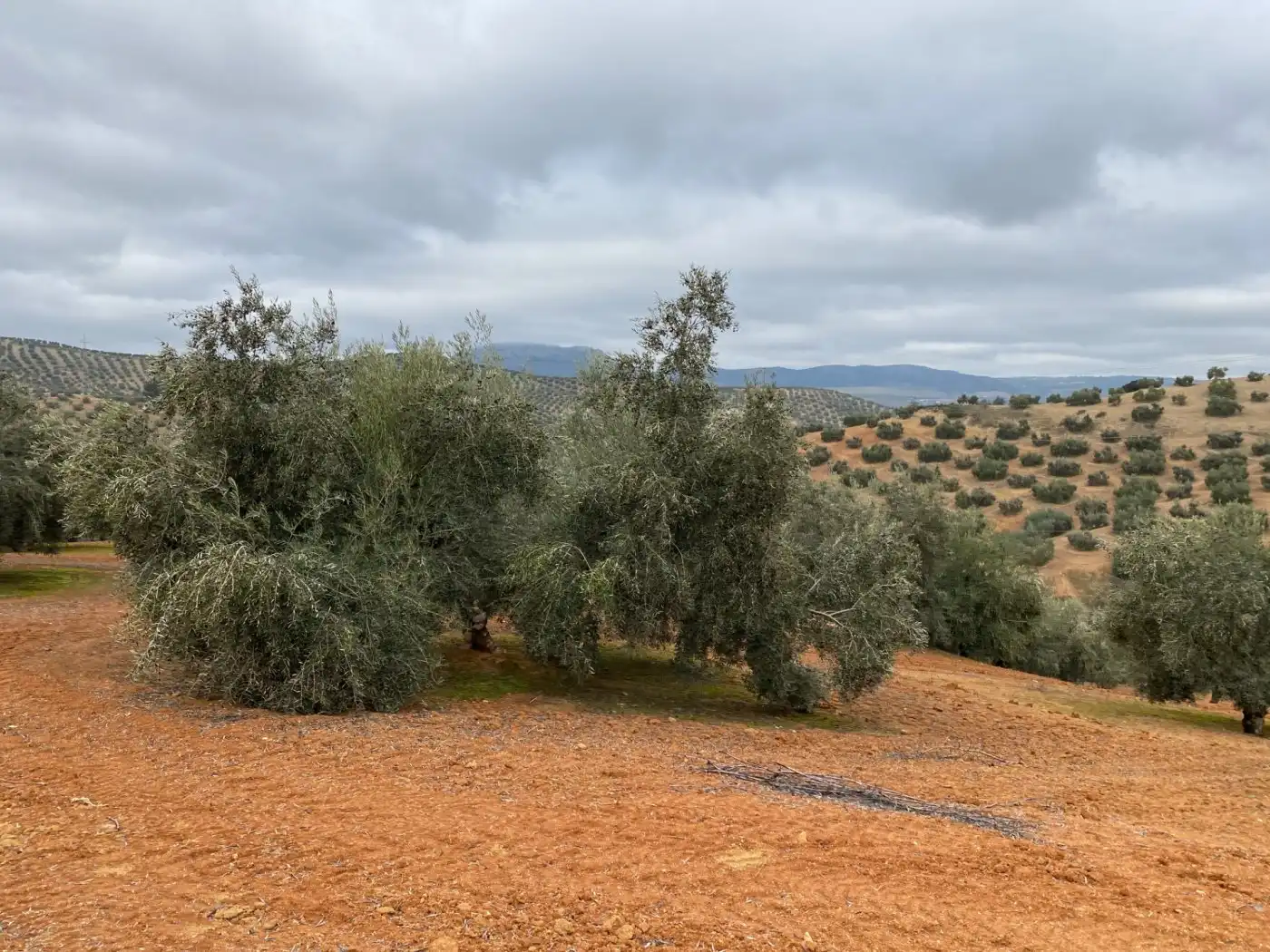 Casa rustica in vendita a Huétor Tájar, imagen 56