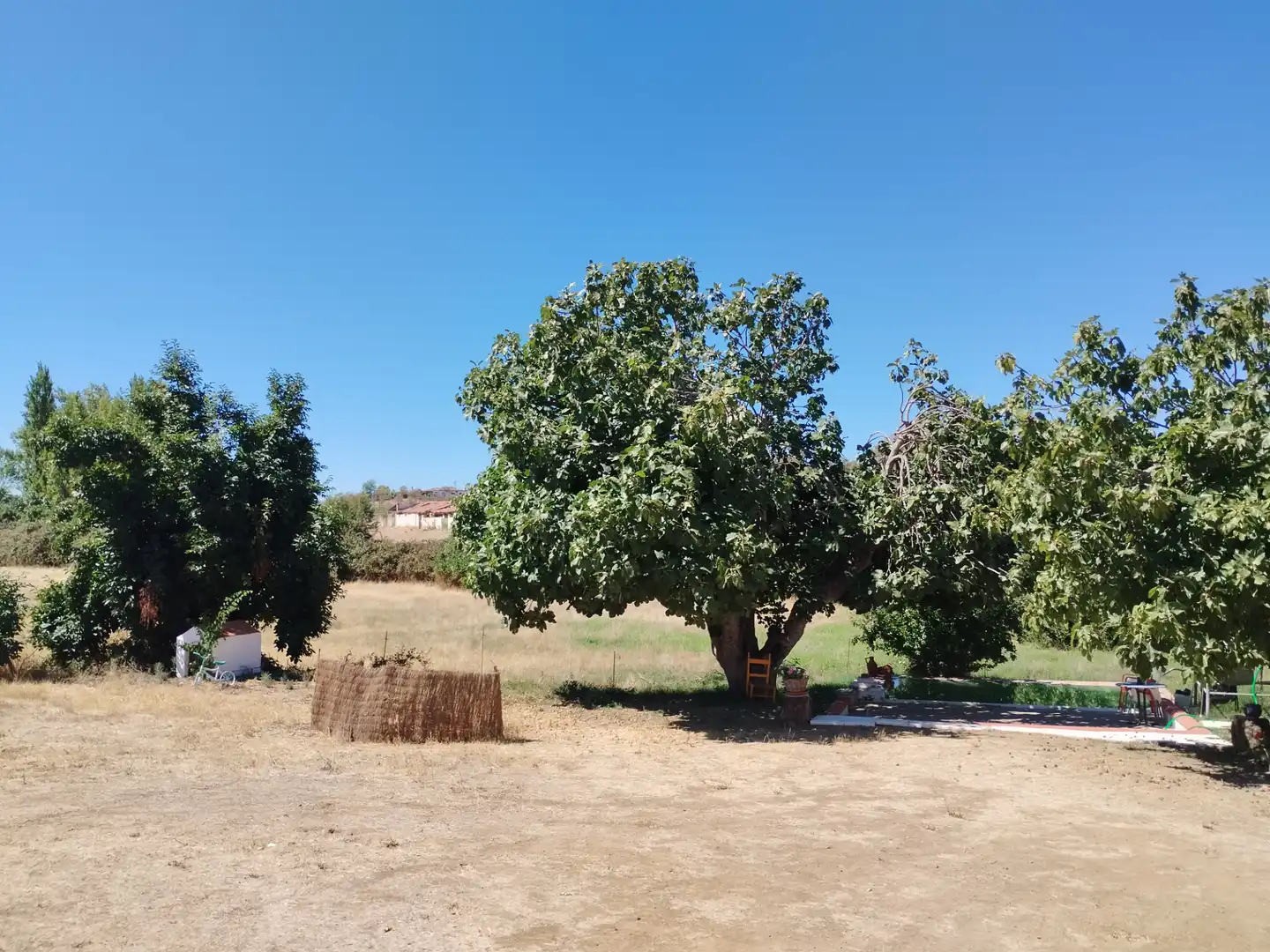 Country house with pool for sale in Zafra, imagen 23