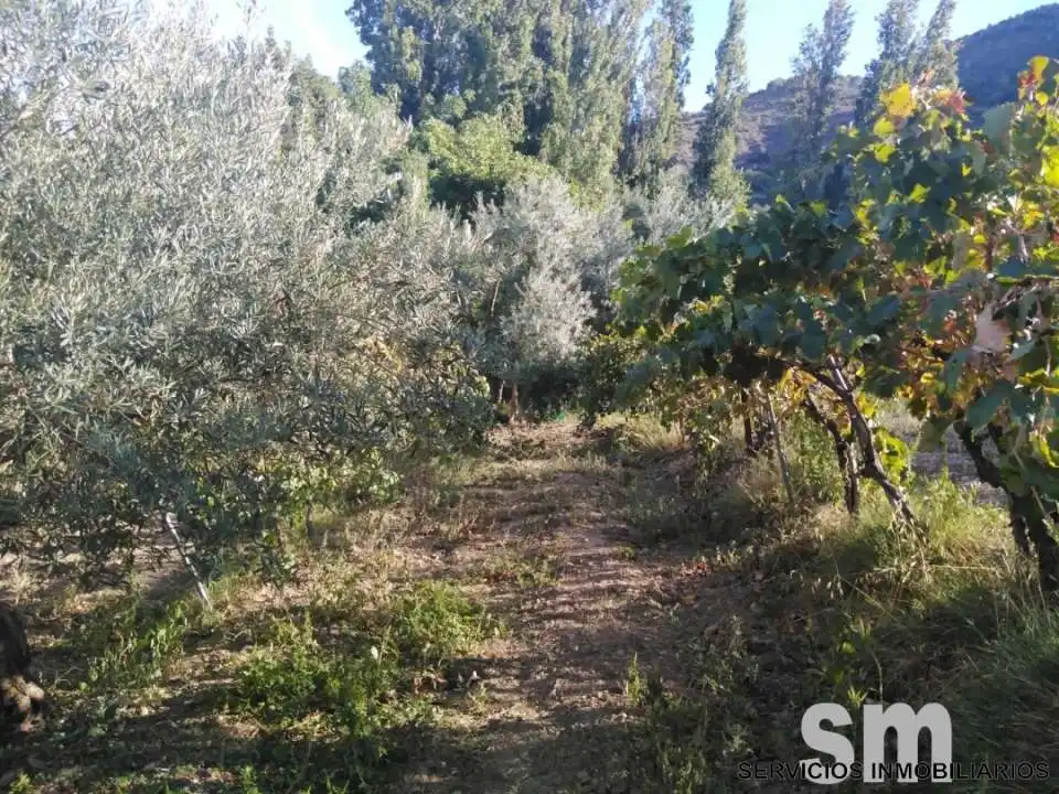 Terreno en venta en Zahara