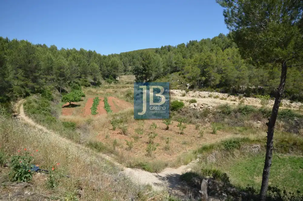 Finca rústica en venda en Mogente / Moixent, Valencia