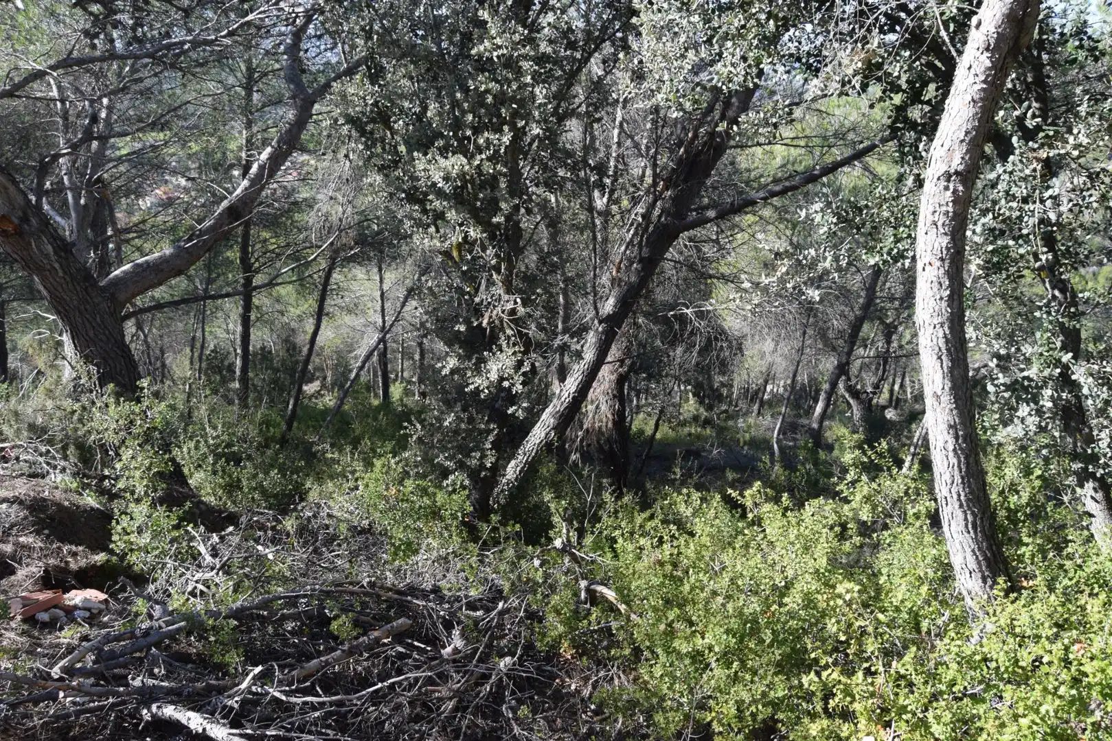 Residential land for sale in NUEVA SIERRA BX, imagen 4