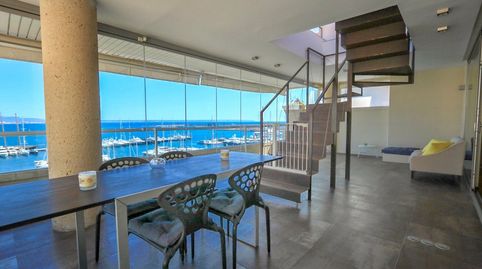 Photo 4 of Attic for rent in El Terreno, Palma de Mallorca