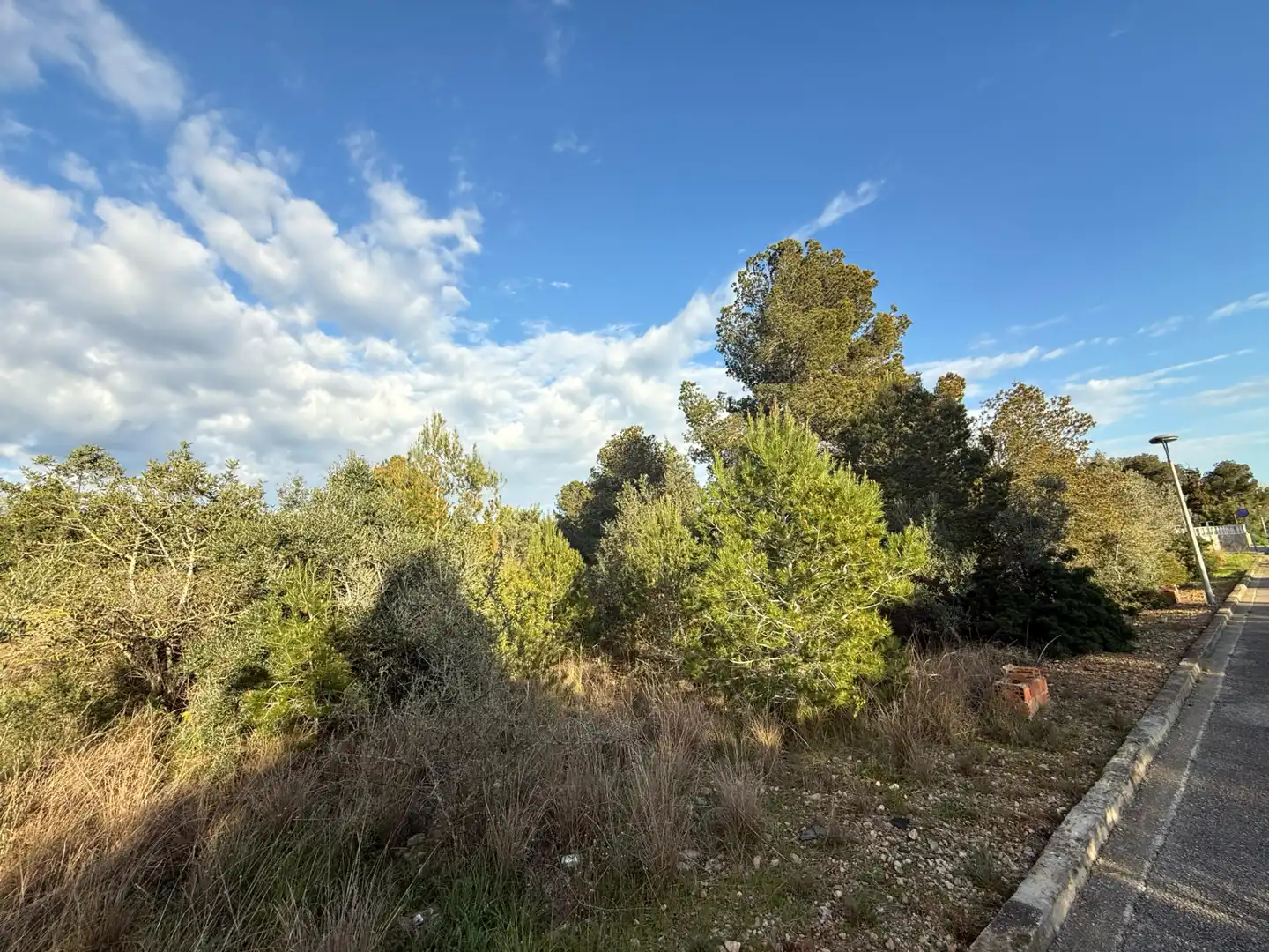 Wohnbaugrundstück zum Verkauf in La Franquesa - Oasis Park, imagen 4