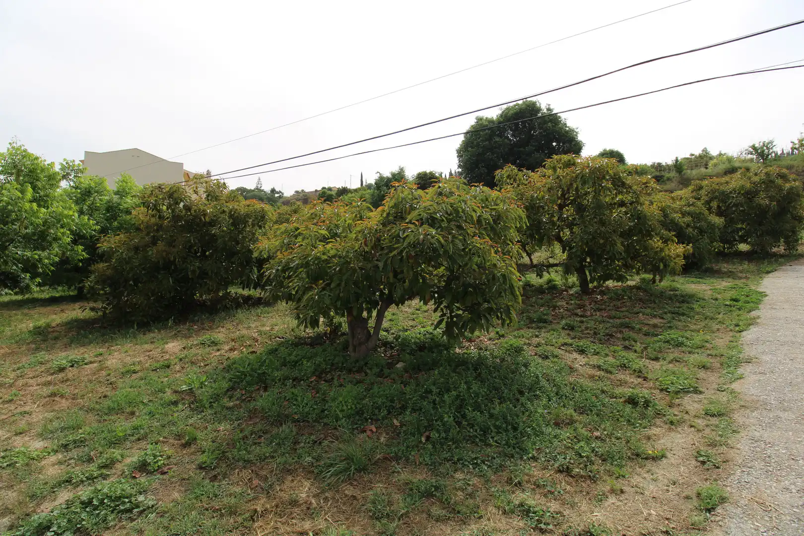 Country homes for sale in Coín  with Terrace and Storage room