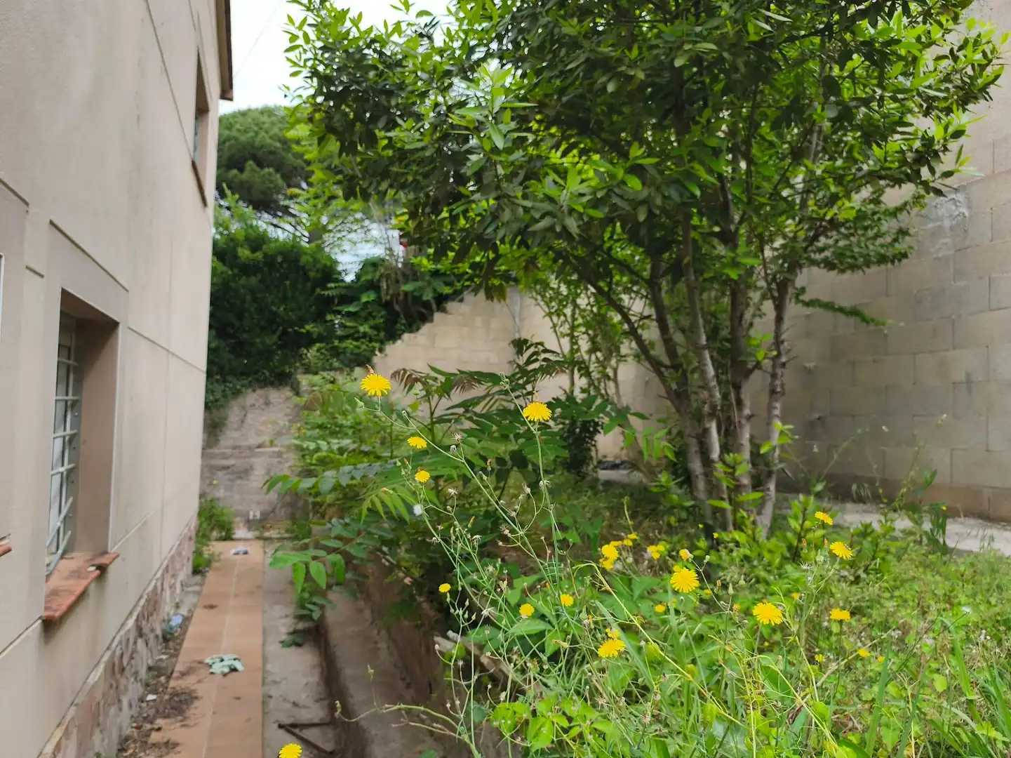 Casa en venta en Riells i Viabrea, imagen 8