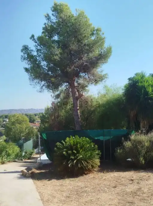 Garten von Country house zur Miete in Montserrat mit Klimaanlage, Heizung und Abstellraum