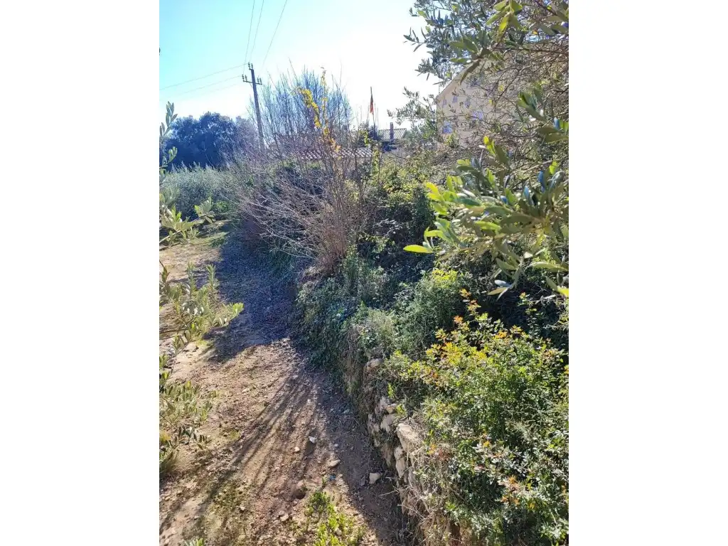 Terreno residencial en venta en Calle Ceps Dels, imagen 10