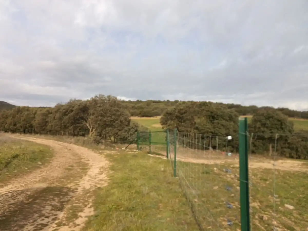 Finca rústica en venta en Fuente el Fresno