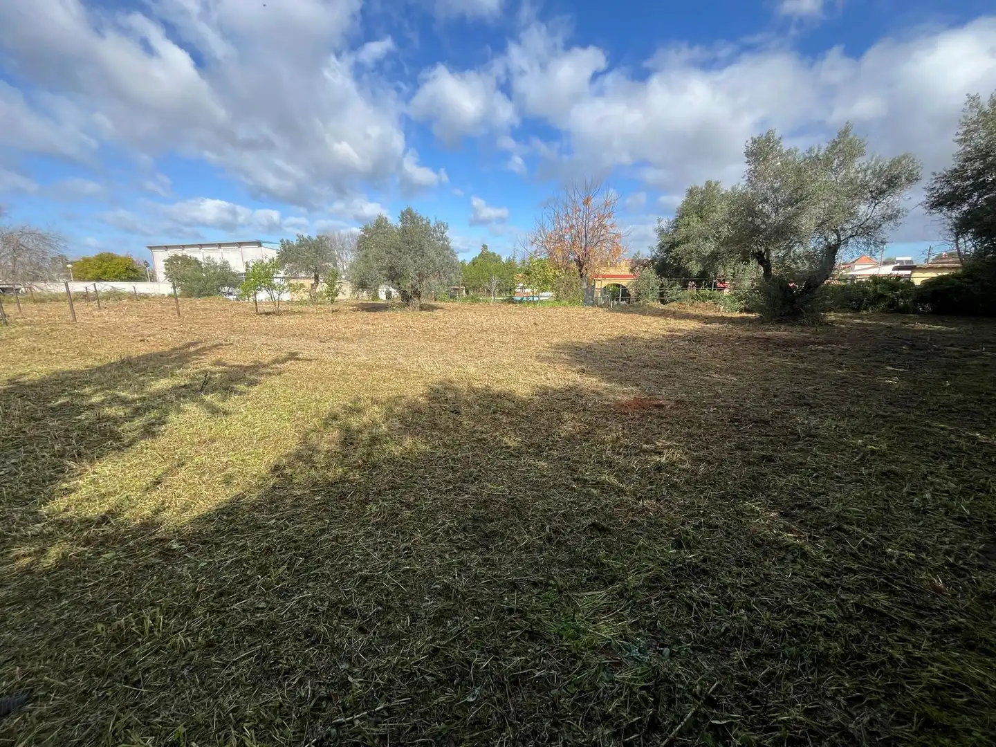 Residential for sale in Palomares del Río