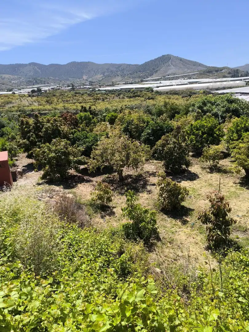 Finca rústica en venda en Motril amb Terrassa