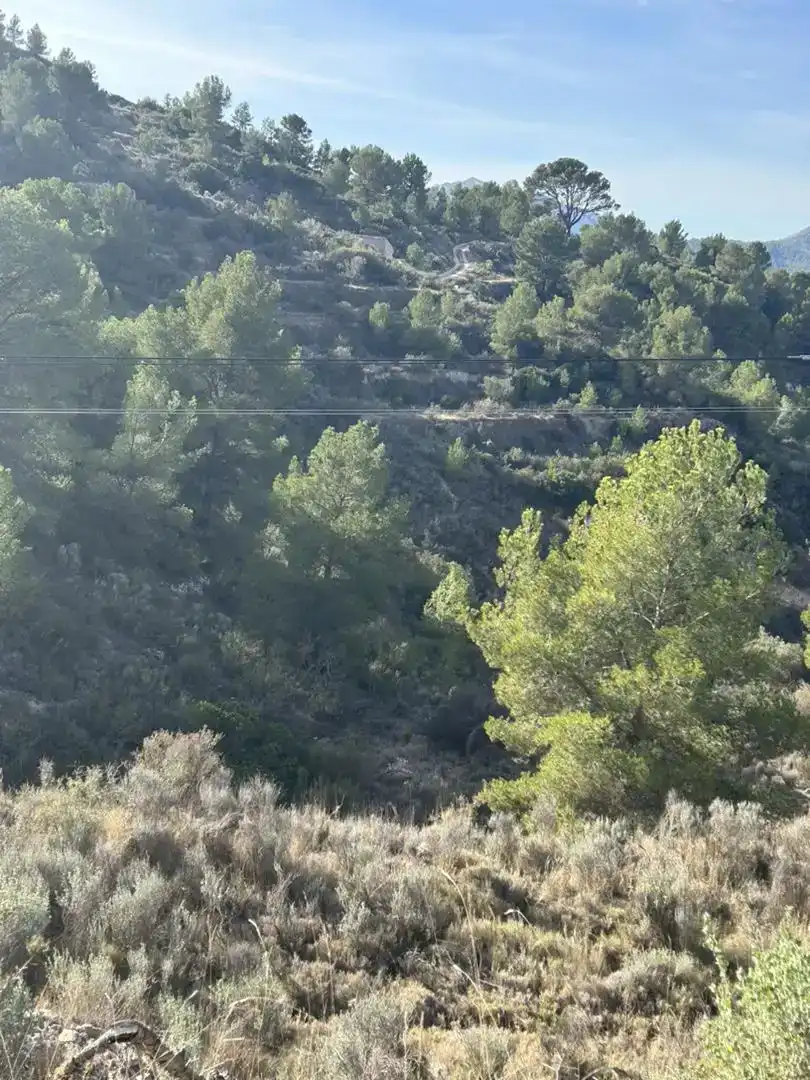 Finca rústica en venda en Tibi