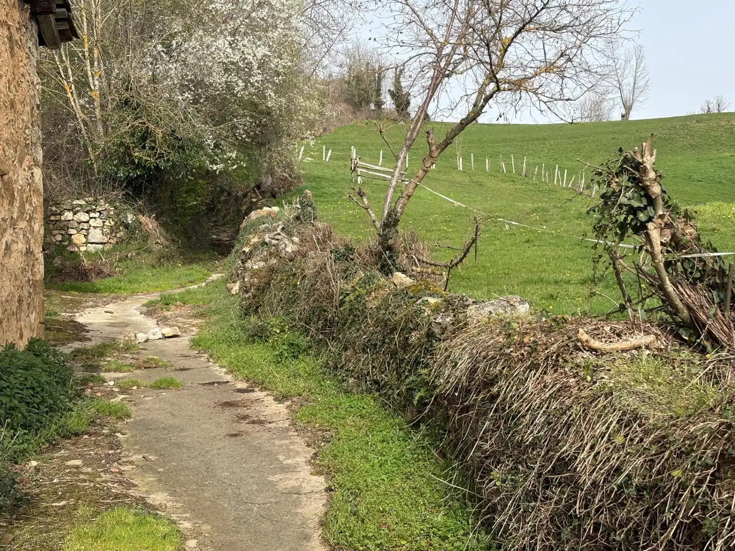 Vista exterior de Finca rústica en venta en Quirós con Terraza y Balcón