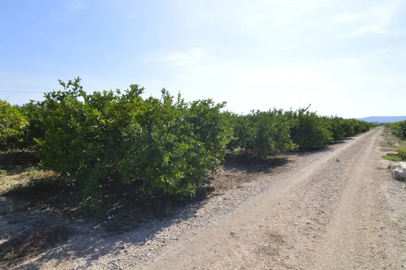 Residencial en venta en N/A, -1, Santomera