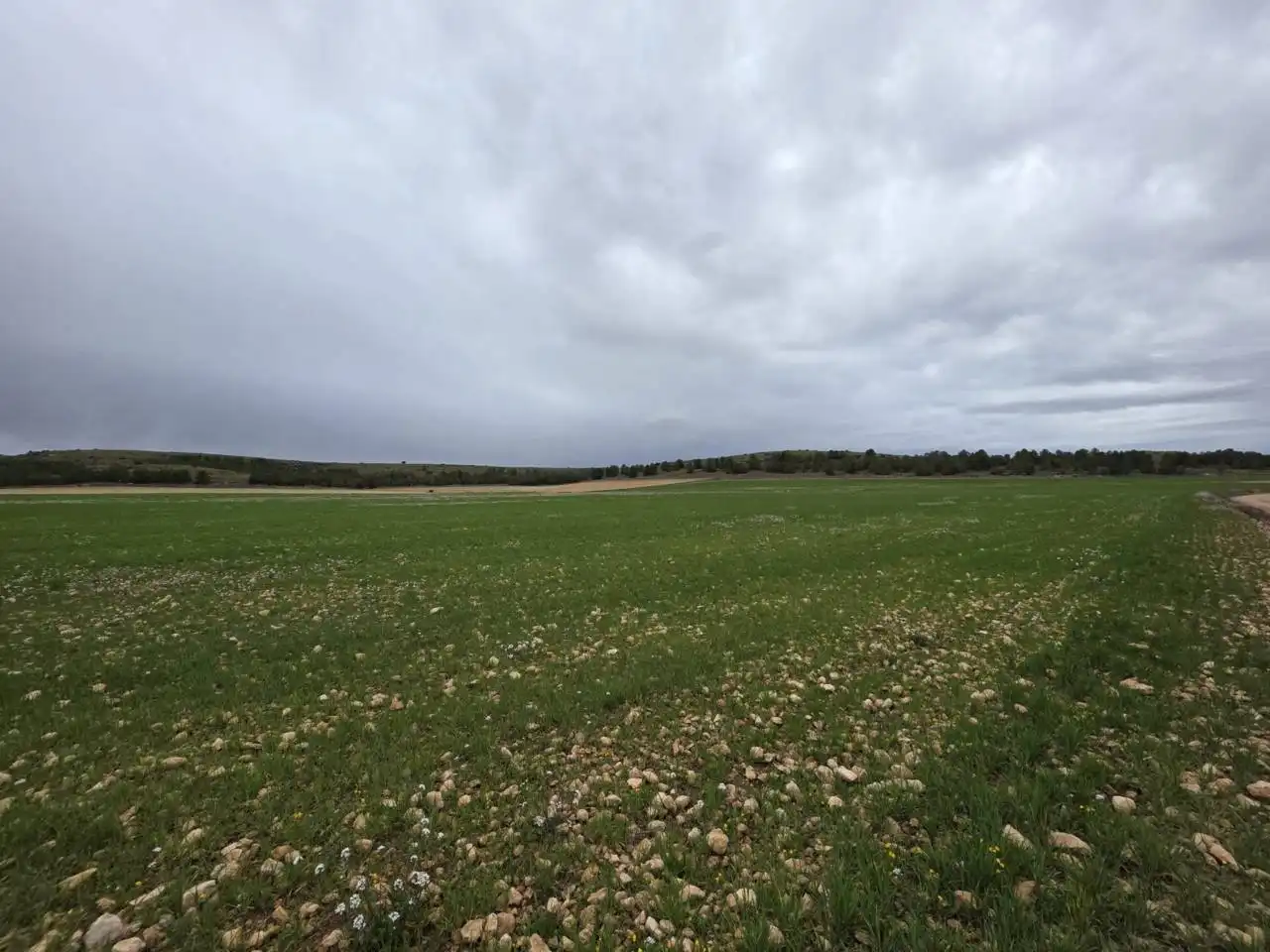 Rural land for sale in Chinchilla de Monte-Aragón, imagen 7