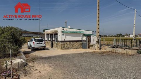 Foto 3 de Finca rústica en venda a Calle Sèquia de la Figuerola Dreta, Eucaliptus - Poble Nou del Delta, Amposta
