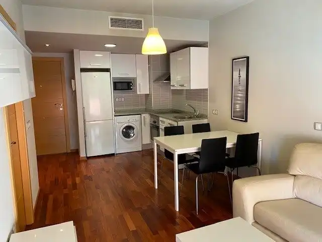 Apartments for rent in El Ranero