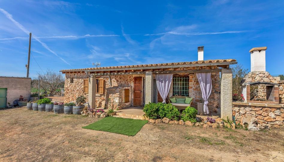 Photo 1 of House or chalet to rent in Santa Margalida Poble, Illes Balears