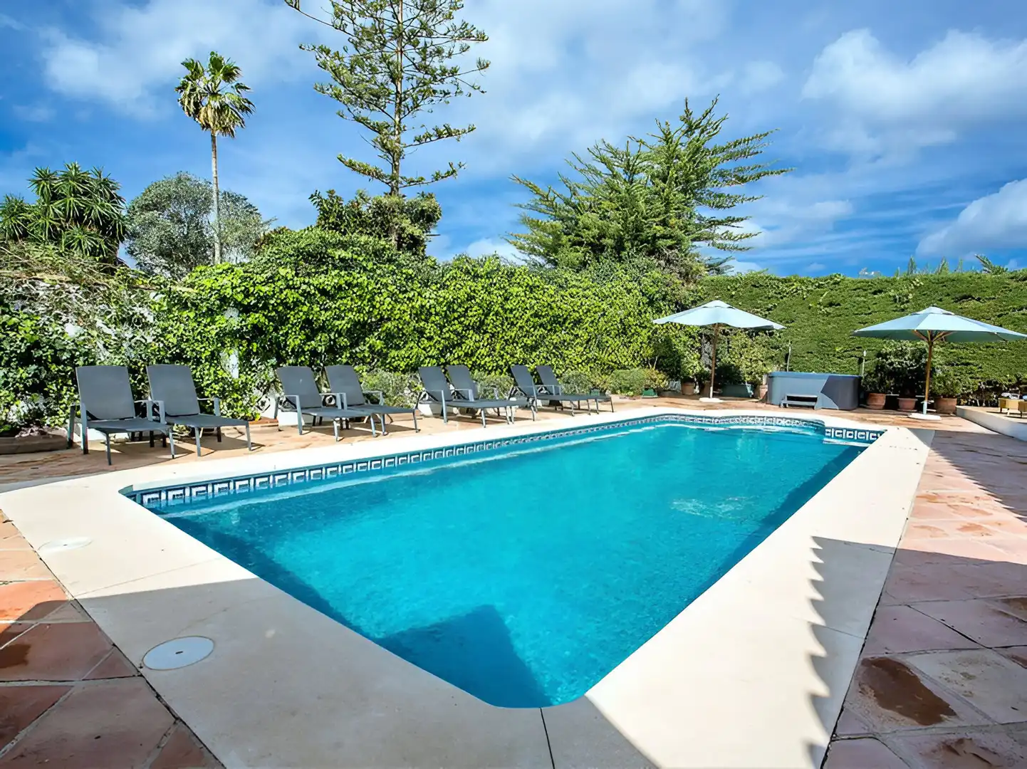 Casa con piscina en venta en San Pedro de Alcántara, imagen 4
