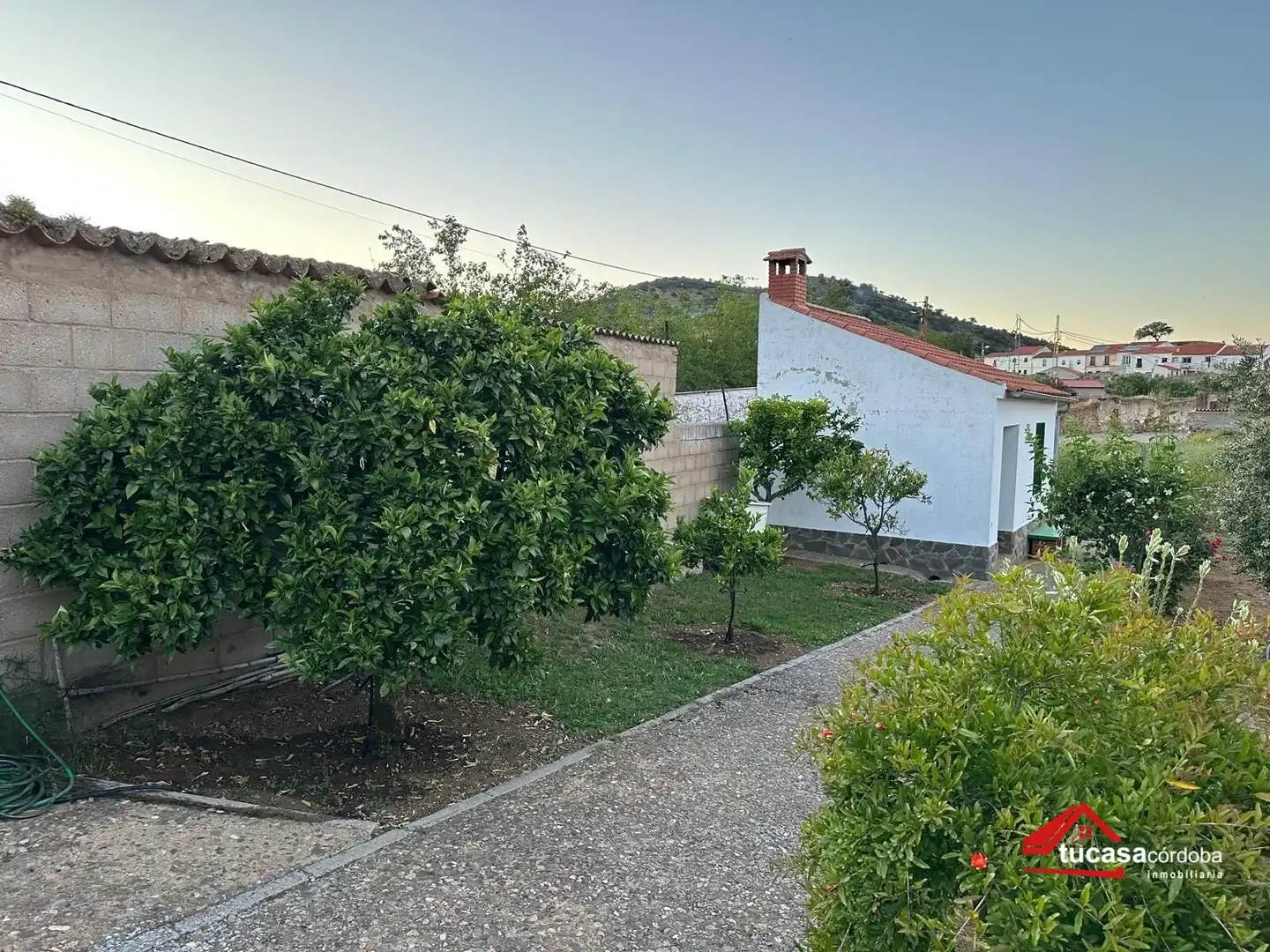 Terreno rustico in vendita a Villanueva del Rey, imagen 40