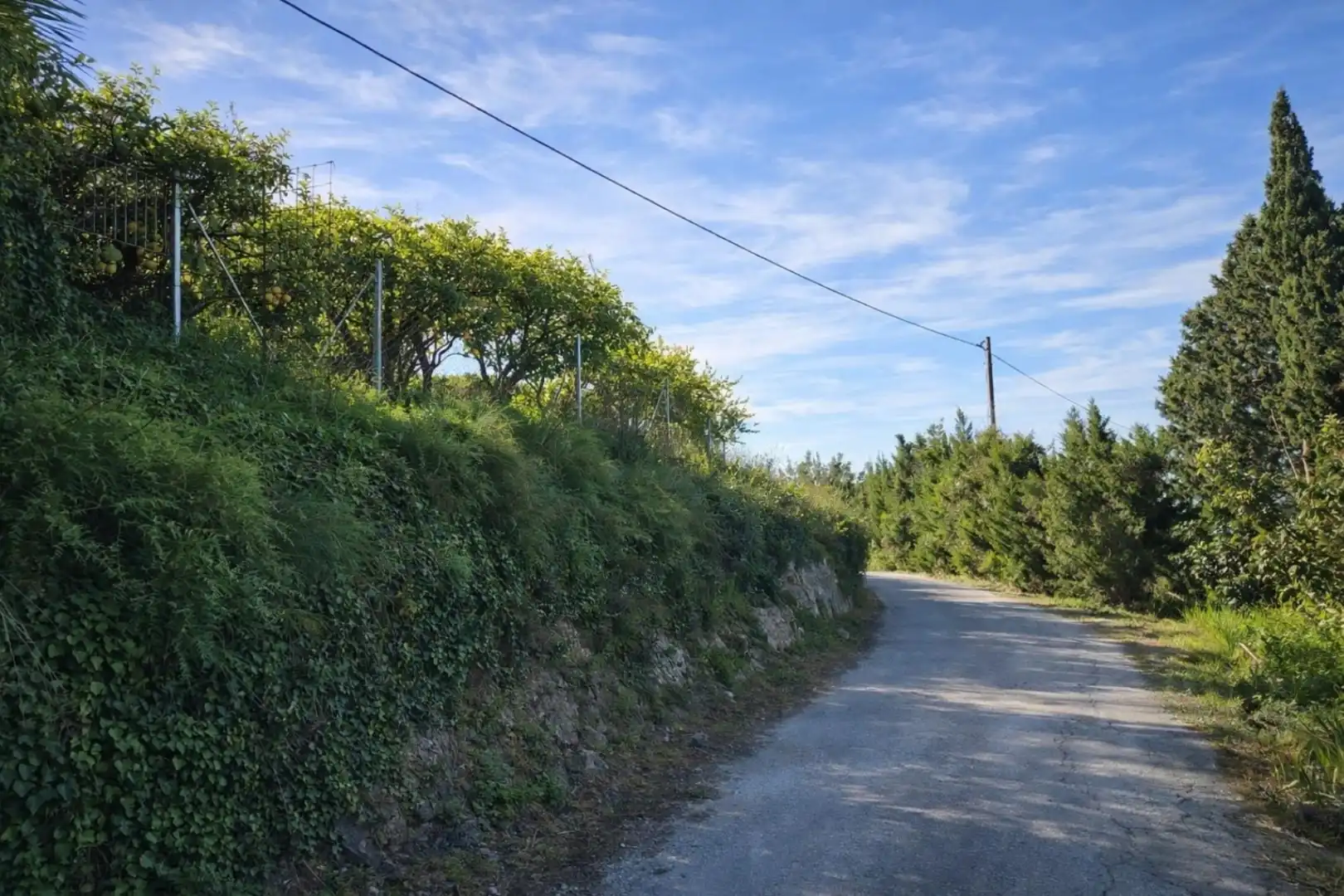 Rural land for sale in Carrer Trinquet 7, imagen 30