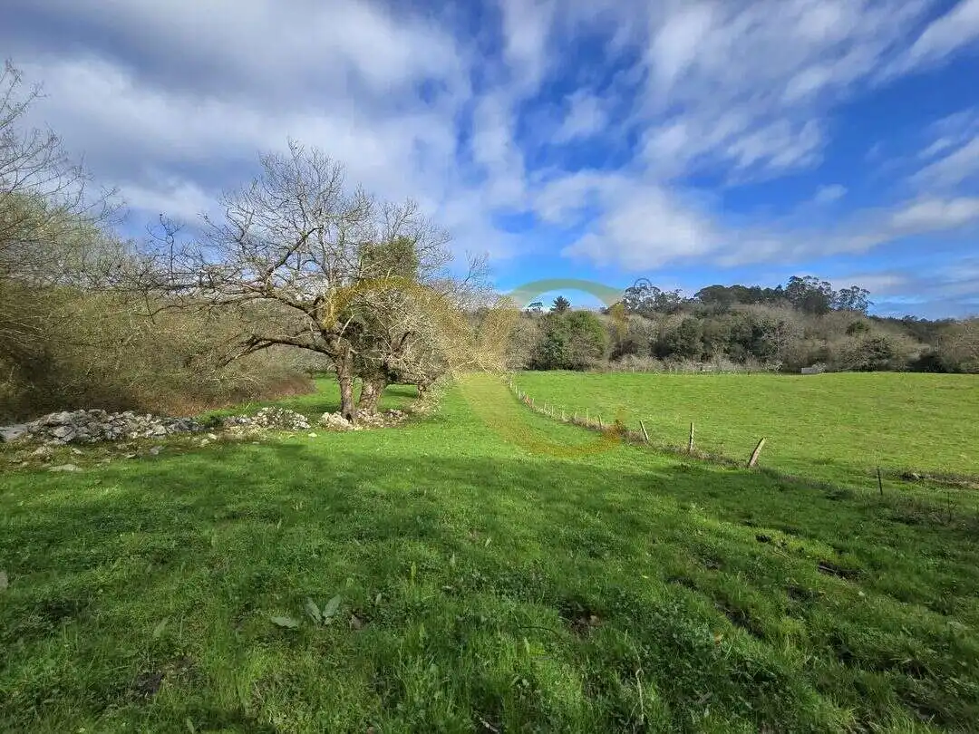 Terreno rustico in vendita a Balmori
