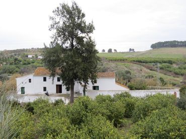 Xalet en venda a Gibralgalía
