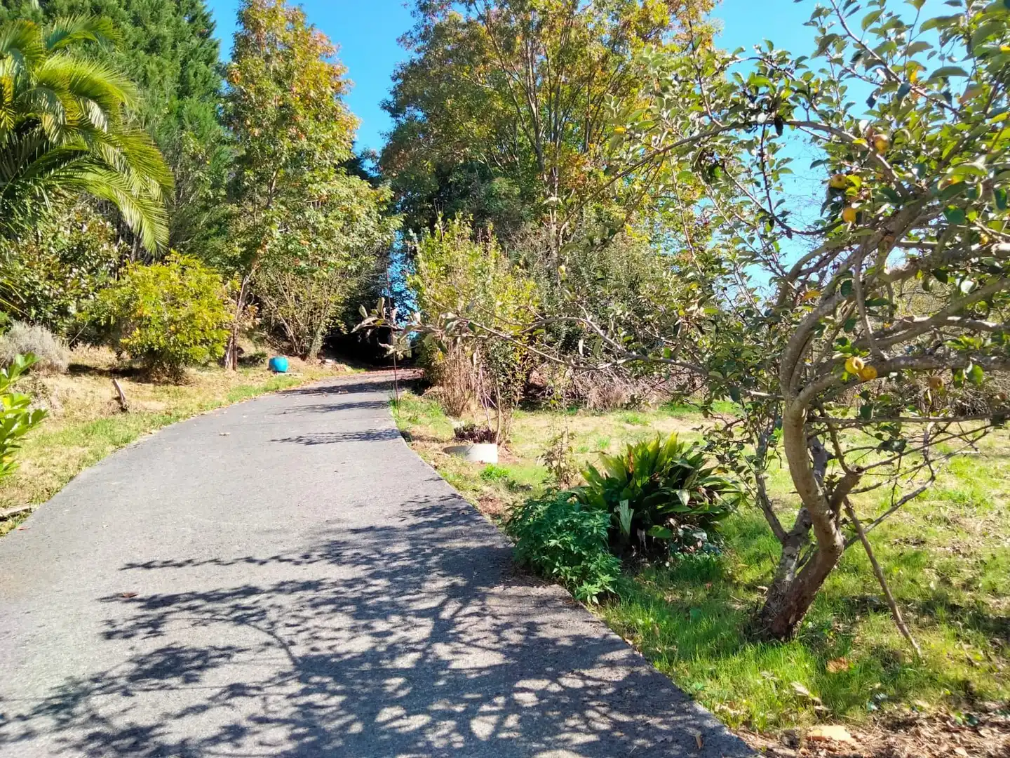 Casa o chalet en venta en Arrankudiaga / Zollo con Calefacción, Jardín privado y Trastero